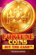 Fortune Coins slot más popular en DINGDINGWIN COM