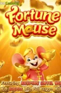 Fortune Mousse en DINGDINGWIN COM